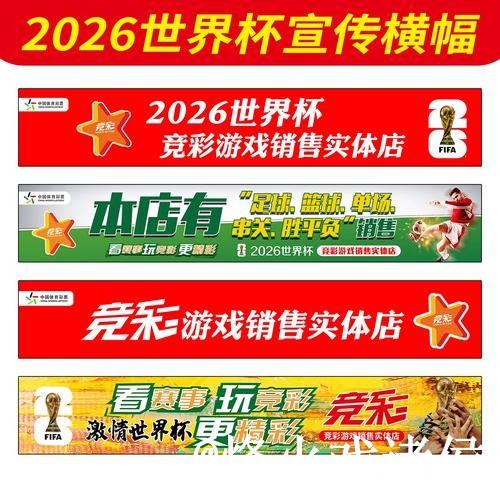 2026世界杯投注官网经验分享，网页版区别和操作问题别忽略